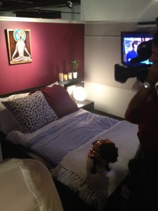 One of the luxurious rooms for your lil' doggy!