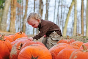 Pumpkin patches are a perfect fall adventure for kids of all ages!