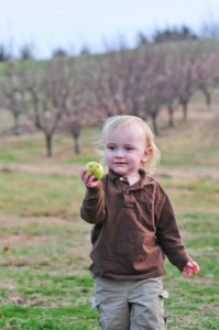 Who doesn't love a trip to an apple festival on a fall weekend?